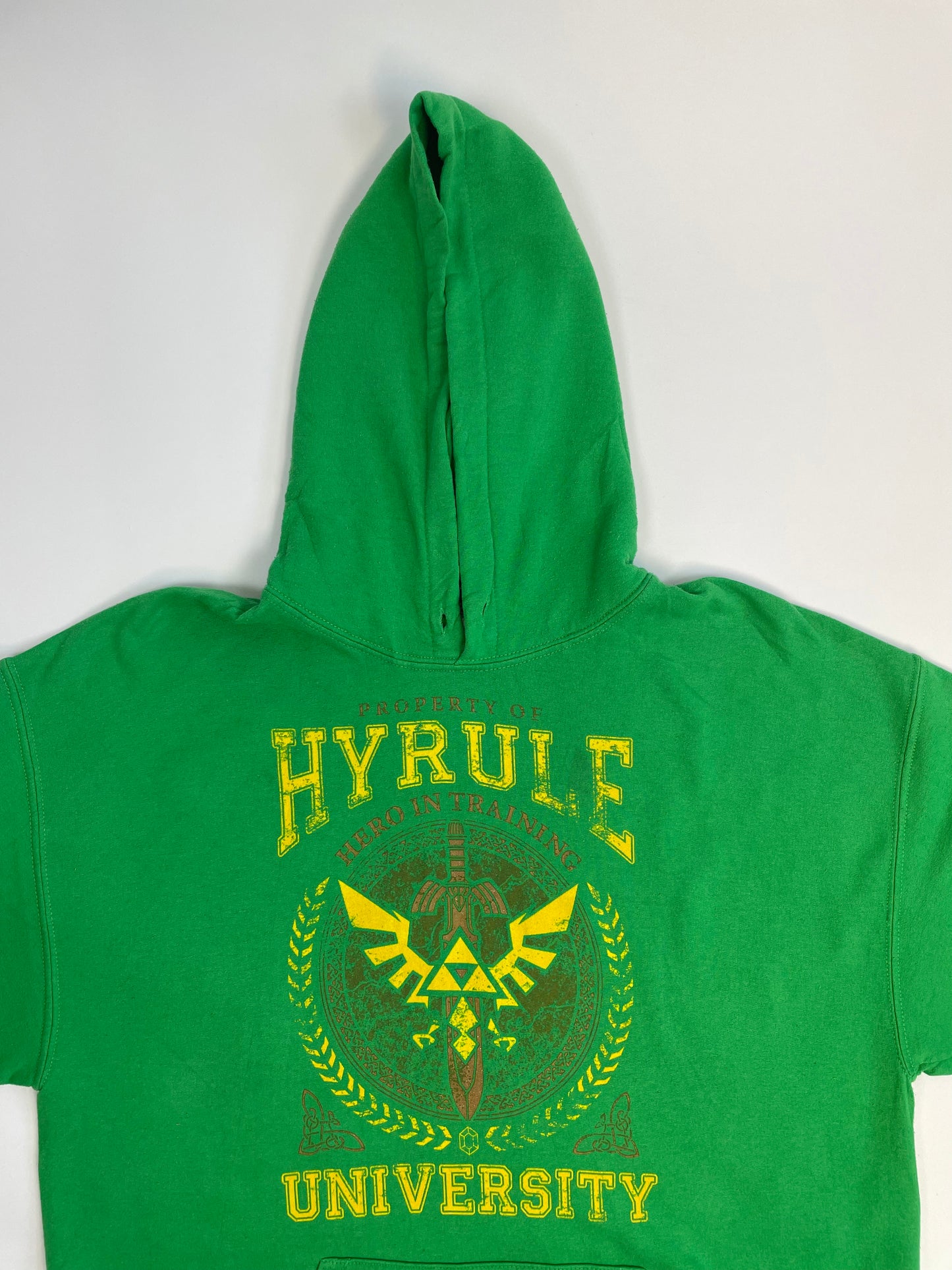 Hyrule University hættetrøje - L